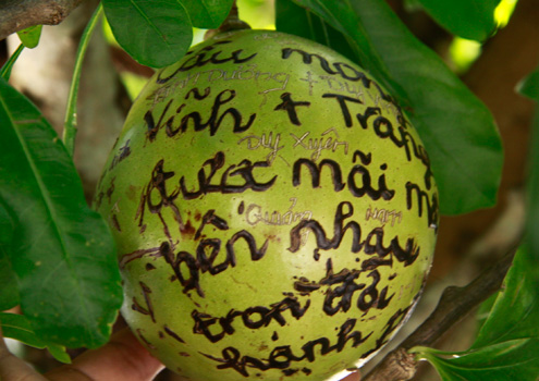 Những[-]lời[-]xin[-]tình[-]duyên[-]được[-]khắc[-]nhiều[-]nhất.